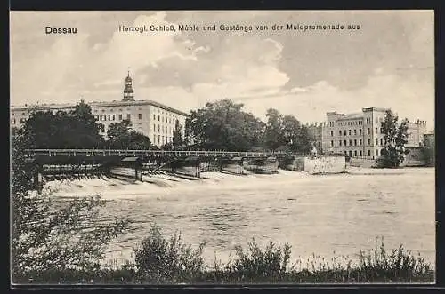 AK Dessau, Herzogliches Schloss, Mühle und Gestänge von der Muldpromenade aus