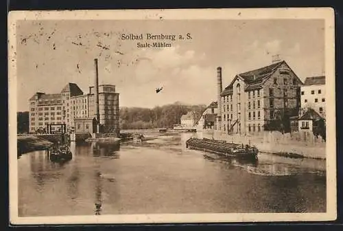 AK Bernburg a. S., Blick auf die Saale-Mühlen