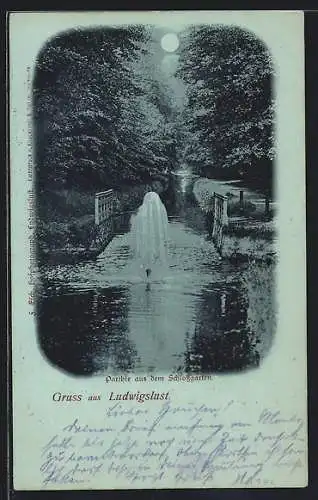 Mondschein-AK Ludwigslust / Meckl., Parthie aus dem Schlossgarten