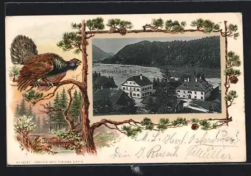 Passepartout-Lithographie Weisshaus bei Füssen, Häuser aus der Vogelschau, Auerhahn