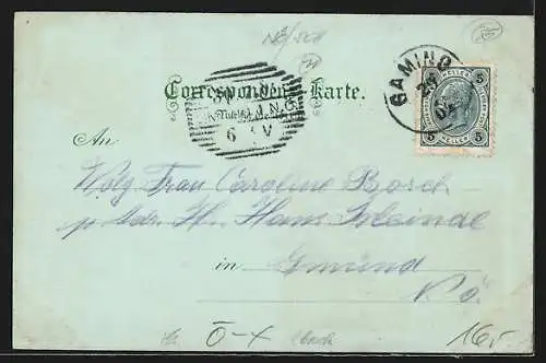 Mondschein-Lithographie Gaming /N.-Oe., Ötscher Schutzhaus, Thotmäuer, Lanzersee, Ortsansicht