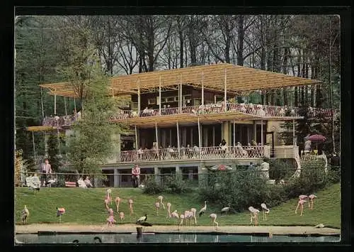 AK Dortmund-Brünninghausen, Tierpark-Raststätte, Inh. Alfred Beimdick