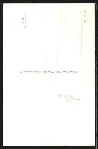 AK Braunau am Inn, Ortsansicht aus der Vogelschau