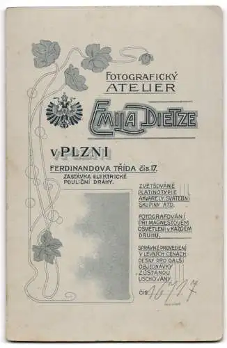 Fotografie E. Dietz, Plzen, Ferdinandova Trída 17, Bürgerlicher Knabe mit pomadisiertem Haar im Cord-Anzug