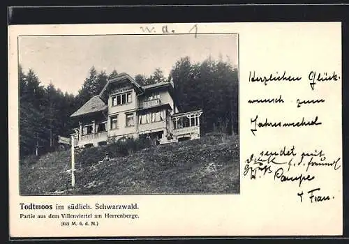 AK Todtmoos im südl. Schwarzwald, Villa Arbeitsfreude am Herrenberge