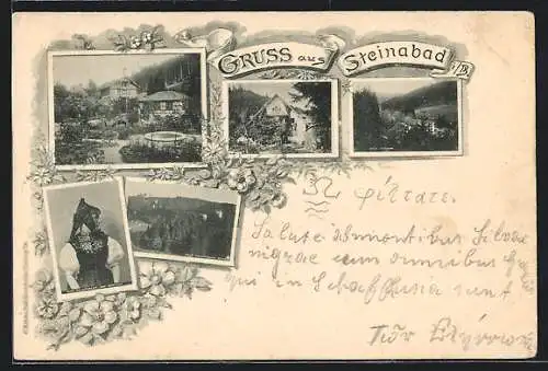 AK Steinabad i. B., Häuser und Garten, Schwarzwälderin in Tracht
