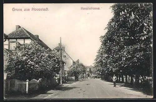 AK Hovestadt, Hauptstrasse mit blühenden Kastanien