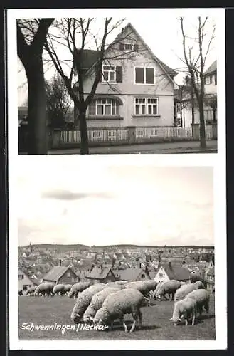 AK Schwenningen /Neckar, Haus in der Rottweiler Str. 52, Ortsansicht mit Schafen