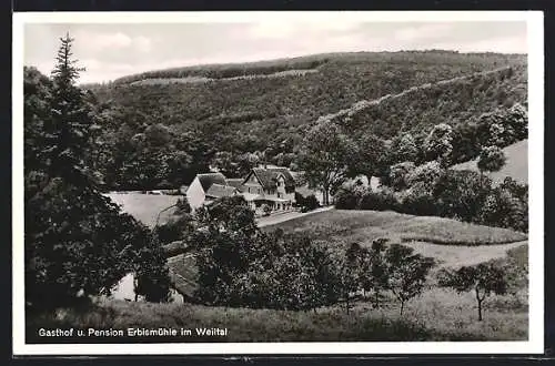 AK Neuweilnau i. T., Gaststätte-Pension Erbismühle R. Schneider aus der Vogelschau