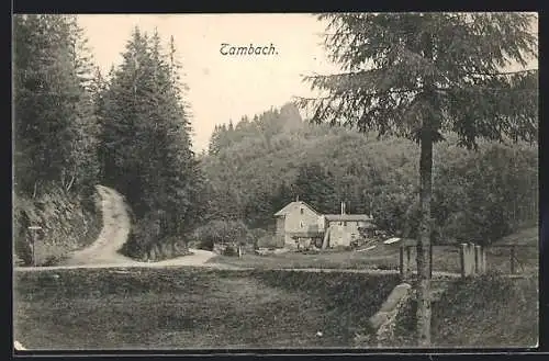 AK Tambach / Thür. Wald, Ortsansicht