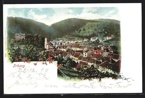 AK Triberg, Ortsansicht mit Kirche und Bergen