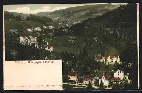 AK Triberg, Blick gegen Schonach