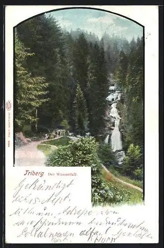 AK Triberg, Wegpartie am Wasserfall