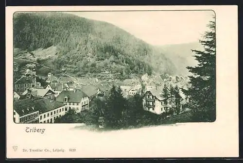 AK Triberg, Ortsansicht mit Bergblick aus der Vogelschau