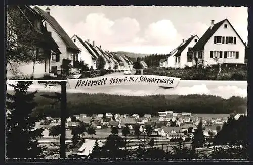 AK Peterzell /Schwarzwald, Gesamtansicht, Strassenpartie