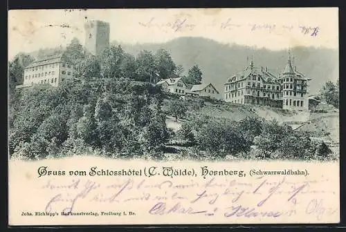 AK Hornberg /Schwarzwald, Schlosshotel mit Umgebung