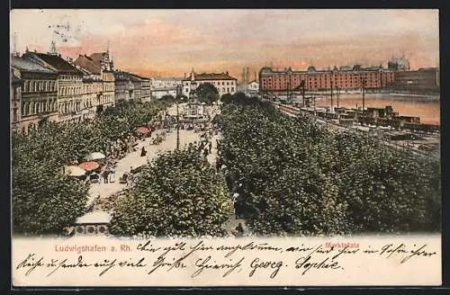 AK Ludwigshafen / Rhein, Marktplatz zwischen den Bäumen