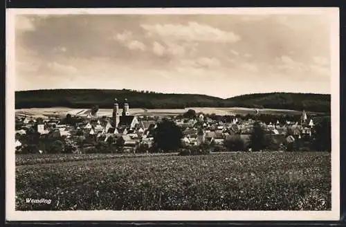 AK Wemding /Schw., Ortsansicht von einer Wiese aus