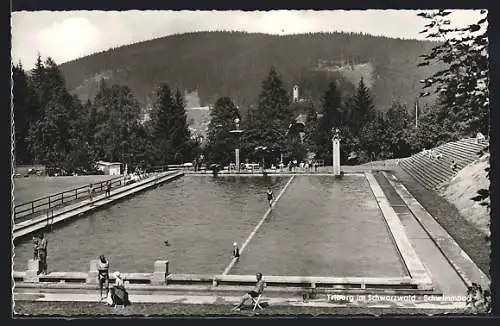 AK Triberg, Blick auf Schwimmbad