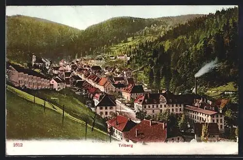 AK Triberg, Ortsansicht