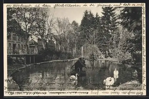 AK Villingen i. Schwarzwald, Schwanenteich, Gebrüder Wilde Uhrenfabrik