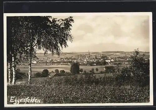 AK Eggenfelden, Ortsansicht mit Wiese