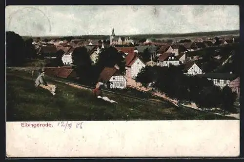 AK Elbingerode im Harz, Frauen auf den Wiesen über dem Ort, Ortstotale