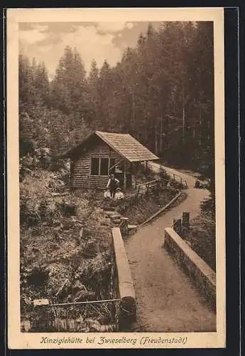 AK Zwieselberg / Freudenstadt, Blick auf die Kinziglehütte