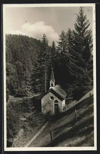 AK Bad Boll, Waldkapelle mit Tannen