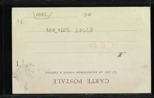 AK Monaco, Palais du Prince & la Tete de Chien