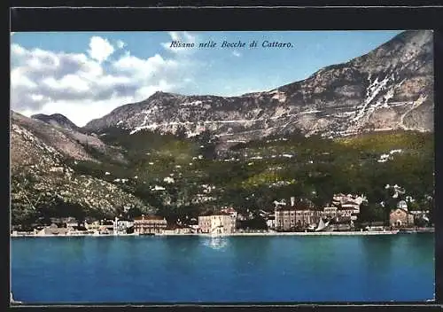 AK Cattaro, Risano nelle Bocche