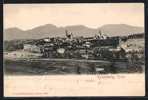 AK Krainburg / Kranj, Gesamtansicht