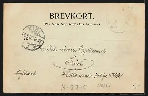 Mondschein-AK Gudvangen, Dampfer liegt im Fjord an der Landestelle