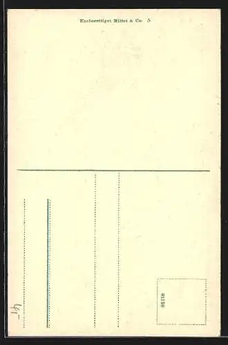 AK Trondhjem, Domkirken