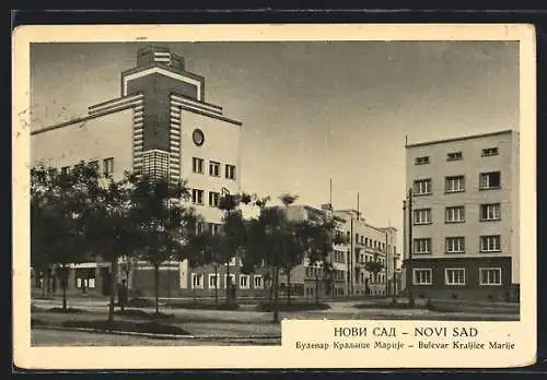 AK Novi Sad, Bulevar Kraljice Marije