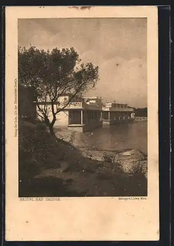 AK Bad Saluga, Strandpartie mit Häusern und Baum