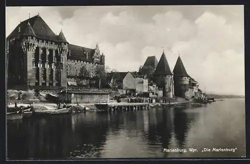 AK Marienburg / Malbork, Blick auf die Marienburg