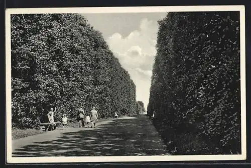 AK Danzig-Oliva, Schlossgarten mit Spaziergängern