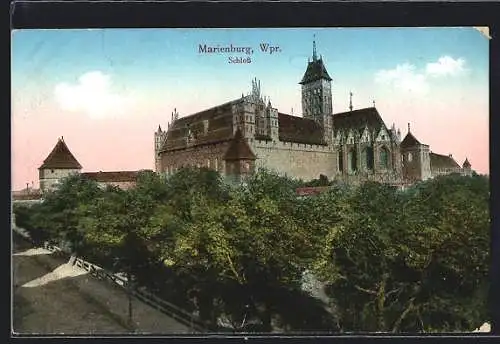 AK Marienburg / Malbork, Blick auf das Schloss