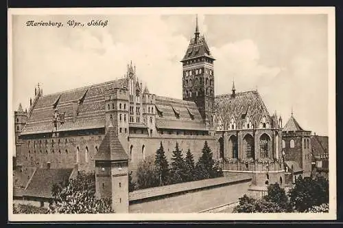 AK Marienburg /Wpr., Schloss und Kirche