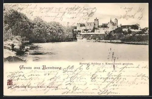 AK Bernburg, Herzogliches Schloss v. Kesselbusch gesehen