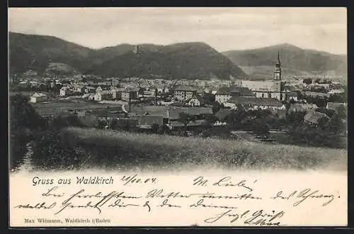 AK Waldkirch / Breisgau, Ortsansicht mit Bergen