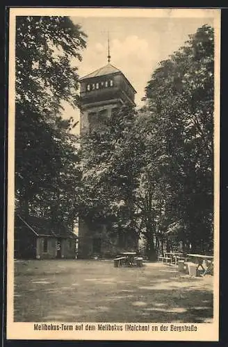 AK Malchen / Melibocusturm, Melibokus-Turm auf dem Melibokus an der Bergstrasse