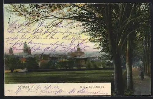 AK Osnabrück, Blick vom Gertrudenber, Allee mit Spaziergänger