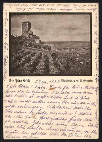 AK Wachenheim / Pfalz, Die Wachtenburg-Ruine