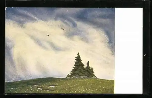 Künstler-AK G. Hirth`s Verlag, Serie: VIII, 3., Nadelbäume und Blumenwieser unter stürmischem Himmel