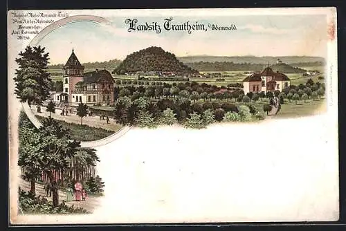 Lithographie Trautheim i. Odenwald, Ortsansicht mit Kirche, Spaziergänger im Park