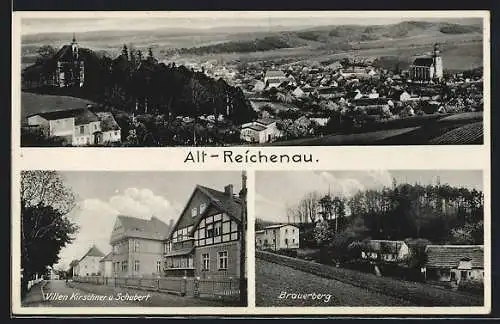 AK Alt-Reichenau, Villen Kirschner u. Schubert, Brauerberg