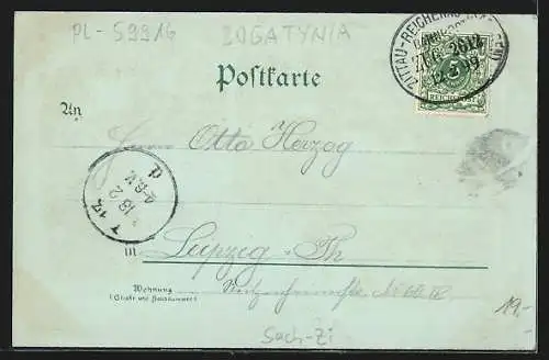 Mondschein-Lithographie Reichenau, Königl. Amtsgericht, Phönix, Ev. Kirche