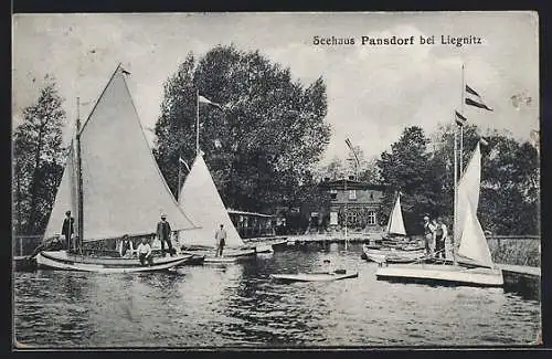 AK Liegnitz, Segelschiffe am Seehaus Pansdorf